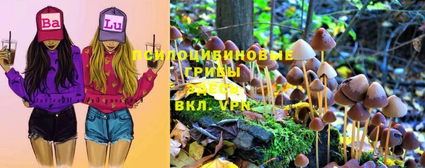 трава Армянск