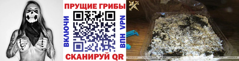 Галлюциногенные грибы MAGIC MUSHROOMS  Полярные Зори 